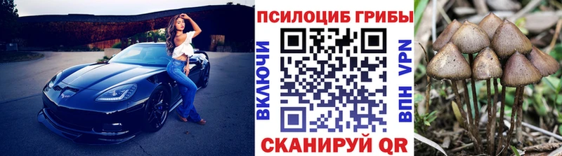 Купить закладки  Каменск-Уральский  Псилоцибиновые грибы Psilocybine cubensis 