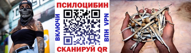 Псилоцибиновые грибы GOLDEN TEACHER Каменск-Уральский